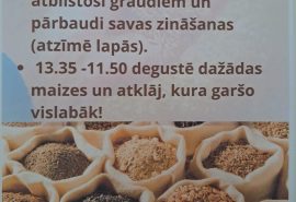 Putras diena Laucienes pamatskolā!