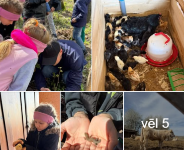 2026.gada 6.maijā Laucienes pamatskolas 1. un 2. klases skolēni piedalījās Eiropas Sociālā fonda Plus projekta Nr. 4.2.2.1/1/25/I/001 “STEM un pilsoniskās līdzdalības norises plašākai izglītības pieredzei un karjeras izvēlei” nodarbībā “Daba un dzīvnieki”.